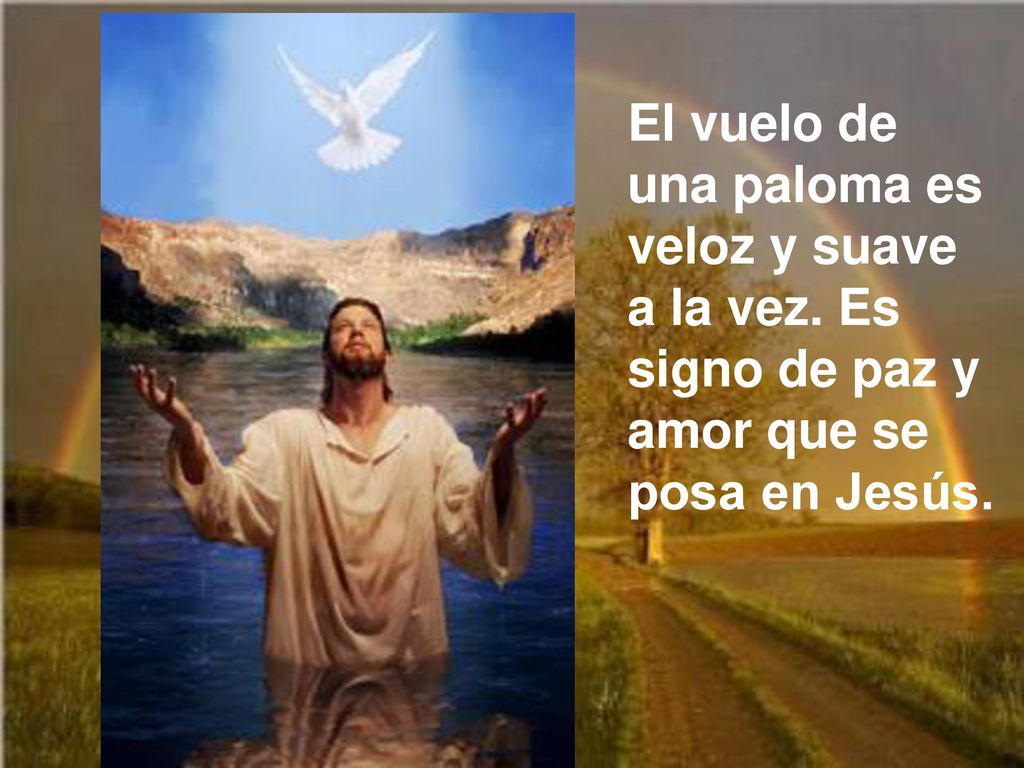 El vuelo de una paloma es veloz y suave a la vez