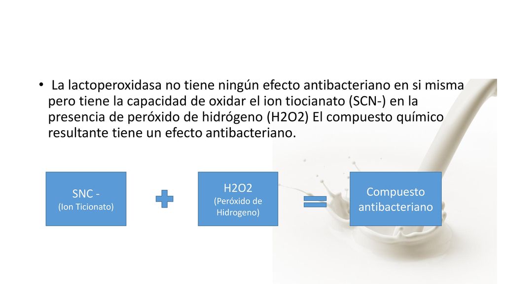 La lactoperoxidasa no tiene ningún efecto antibacteriano en si misma pero tiene la capacidad de oxidar el ion tiocianato (SCN-) en la presencia de peróxido de hidrógeno (H2O2) El compuesto químico resultante tiene un efecto antibacteriano.