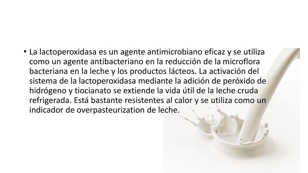 La lactoperoxidasa es un agente antimicrobiano eficaz y se utiliza como un agente antibacteriano en la reducción de la microflora bacteriana en la leche y los productos lácteos.