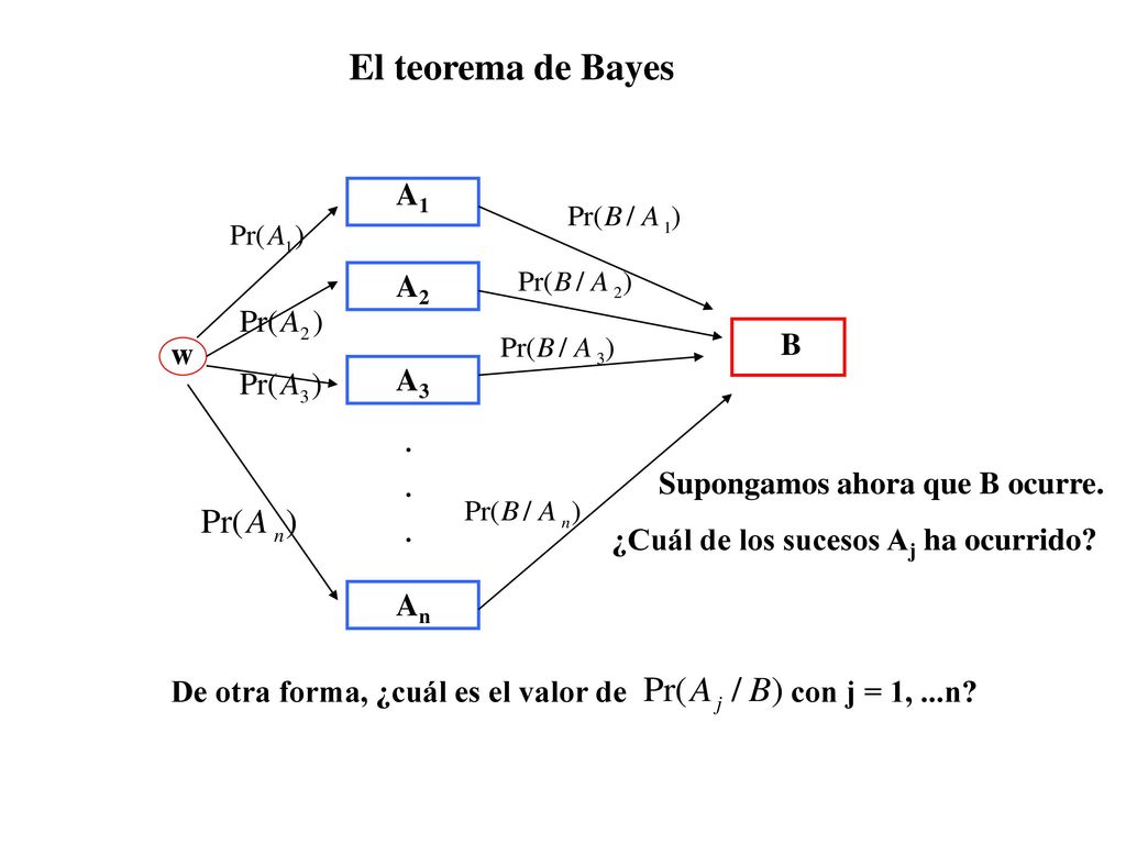 El teorema de Bayes A1 A2 B w A3 Supongamos ahora que B ocurre.