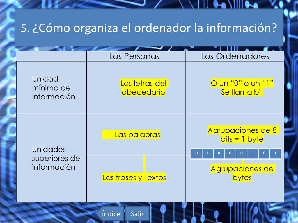 5. ¿Cómo organiza el ordenador la información