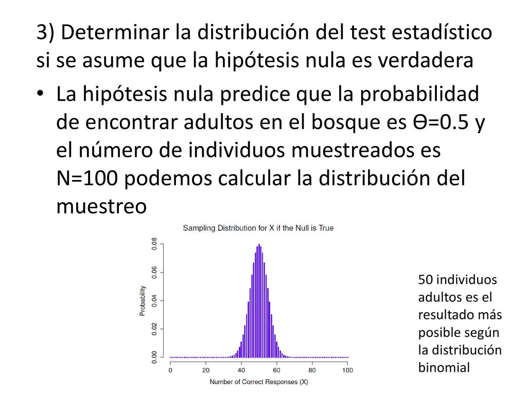 3) Determinar la distribución del test estadístico si se asume que la hipótesis nula es verdadera