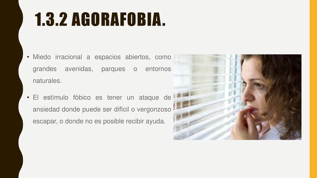1.3.2 Agorafobia. Miedo irracional a espacios abiertos, como grandes avenidas, parques o entornos naturales.