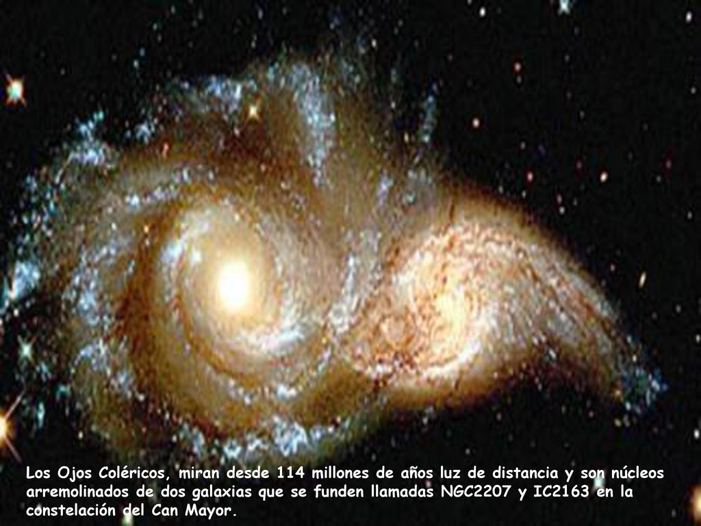 Los Ojos Coléricos, miran desde 114 millones de años luz de distancia y son núcleos arremolinados de dos galaxias que se funden llamadas NGC2207 y IC2163 en la constelación del Can Mayor.
