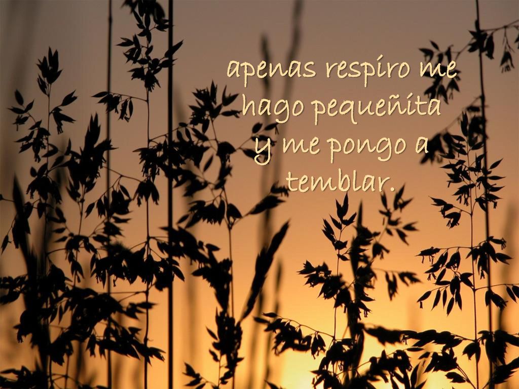 apenas respiro me hago pequeñita y me pongo a temblar.