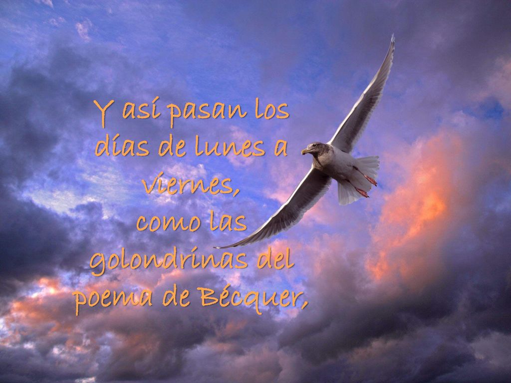 Y así pasan los días de lunes a viernes, como las golondrinas del poema de Bécquer,