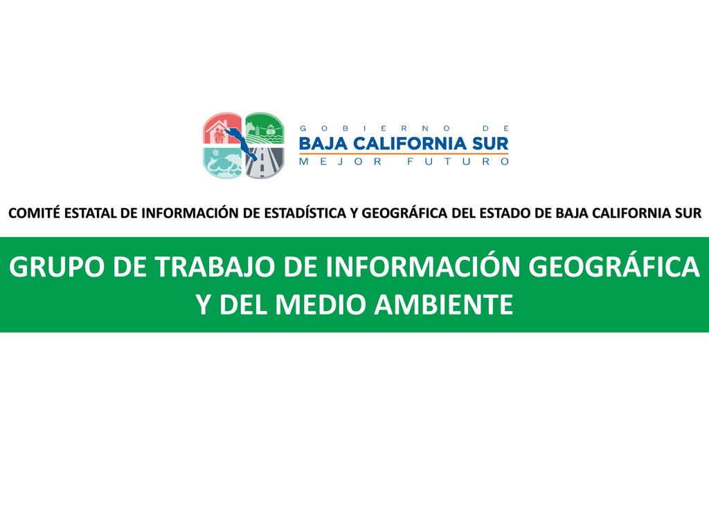 GRUPO DE TRABAJO DE INFORMACIÓN GEOGRÁFICA Y DEL MEDIO AMBIENTE