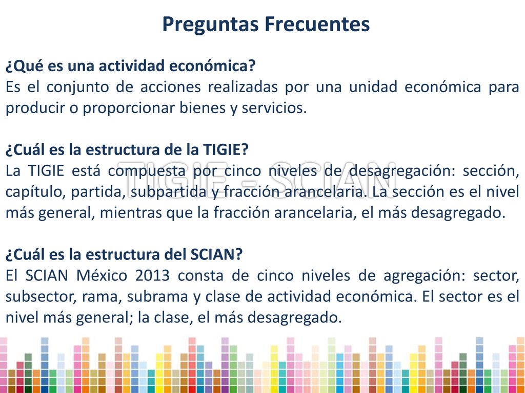 TIGIE - SCIAN Preguntas Frecuentes ¿Qué es una actividad económica