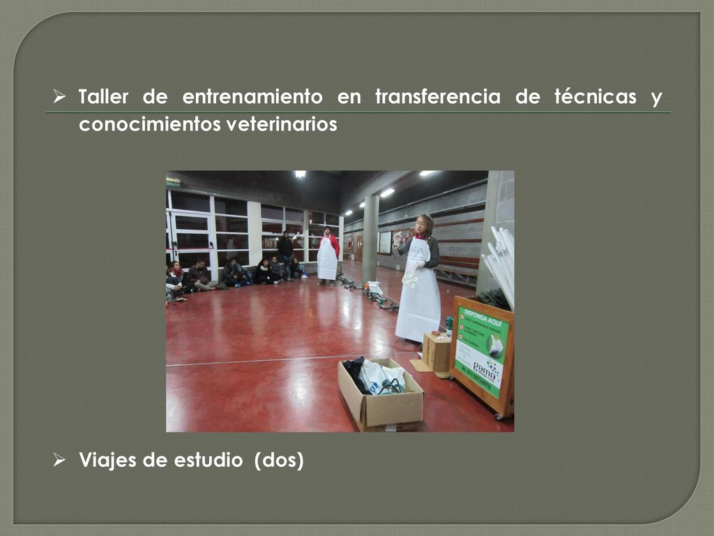 Taller de entrenamiento en transferencia de técnicas y conocimientos veterinarios