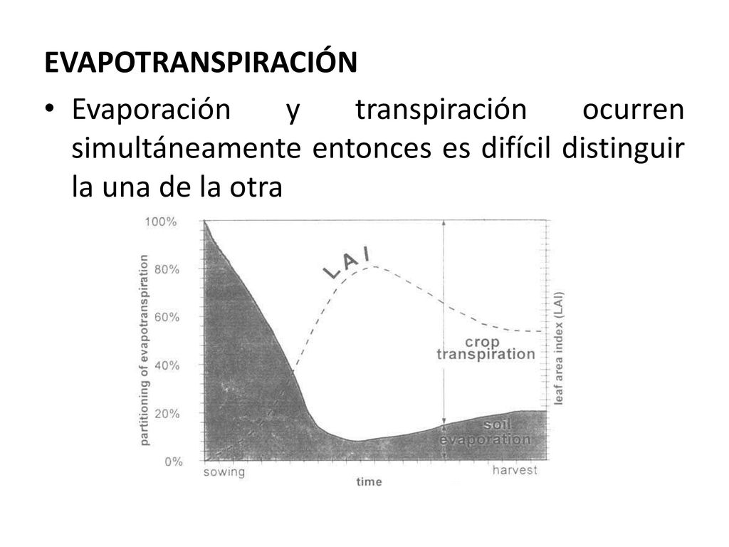 EVAPOTRANSPIRACIÓN Evaporación y transpiración ocurren simultáneamente entonces es difícil distinguir la una de la otra.