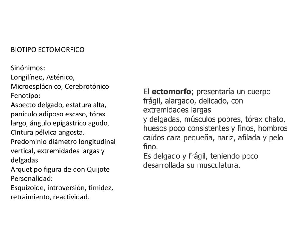 BIOTIPO ECTOMORFICO Sinónimos: Longilíneo, Asténico, Microesplácnico, Cerebrotónico. Fenotipo: Aspecto delgado, estatura alta,