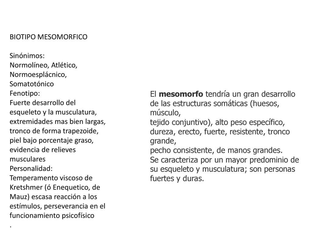 BIOTIPO MESOMORFICO Sinónimos: Normolíneo, Atlético, Normoesplácnico, Somatotónico. Fenotipo: Fuerte desarrollo del.