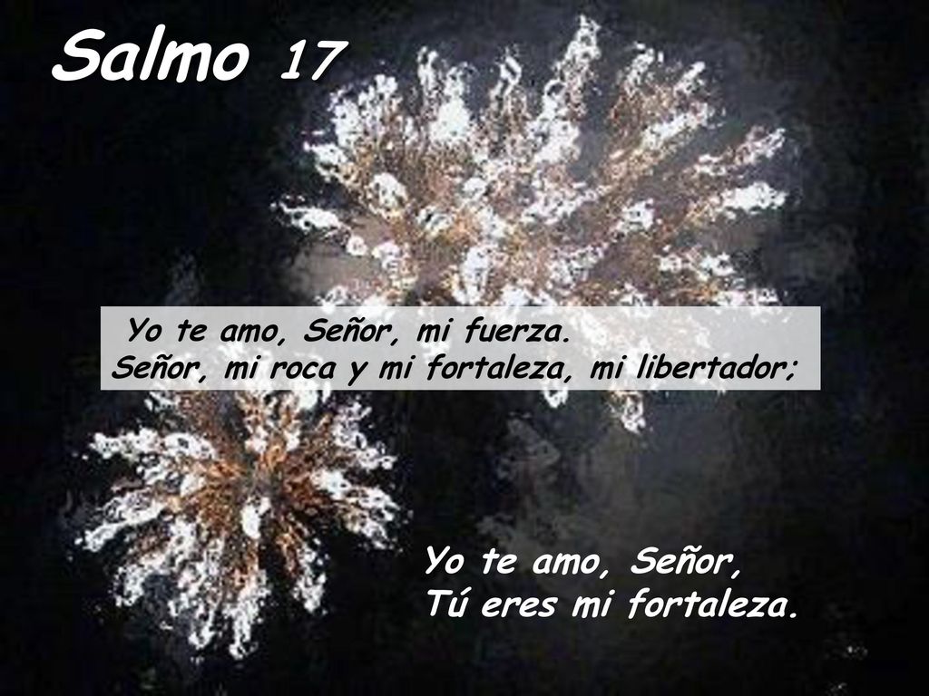 Salmo 17 Yo te amo, Señor, Tú eres mi fortaleza.