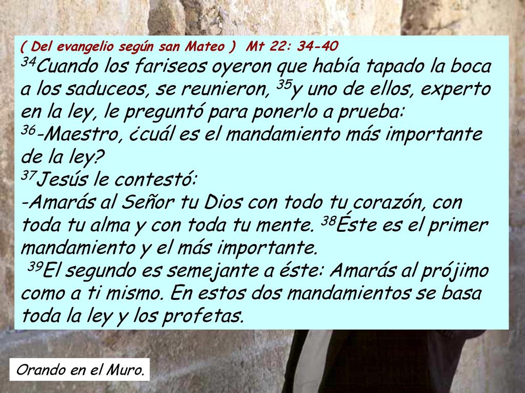 ( Del evangelio según san Mateo ) Mt 22: 34-40