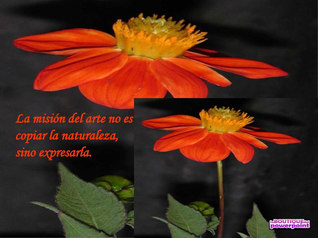 La misión del arte no es copiar la naturaleza, sino expresarla.