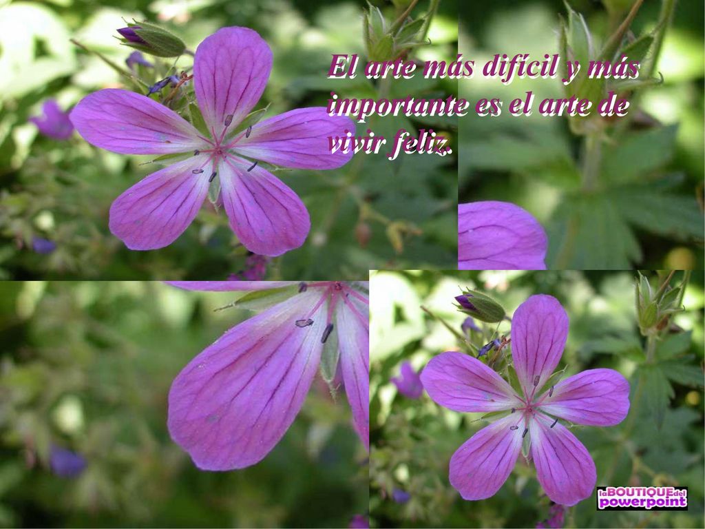 El arte más difícil y más importante es el arte de vivir feliz.