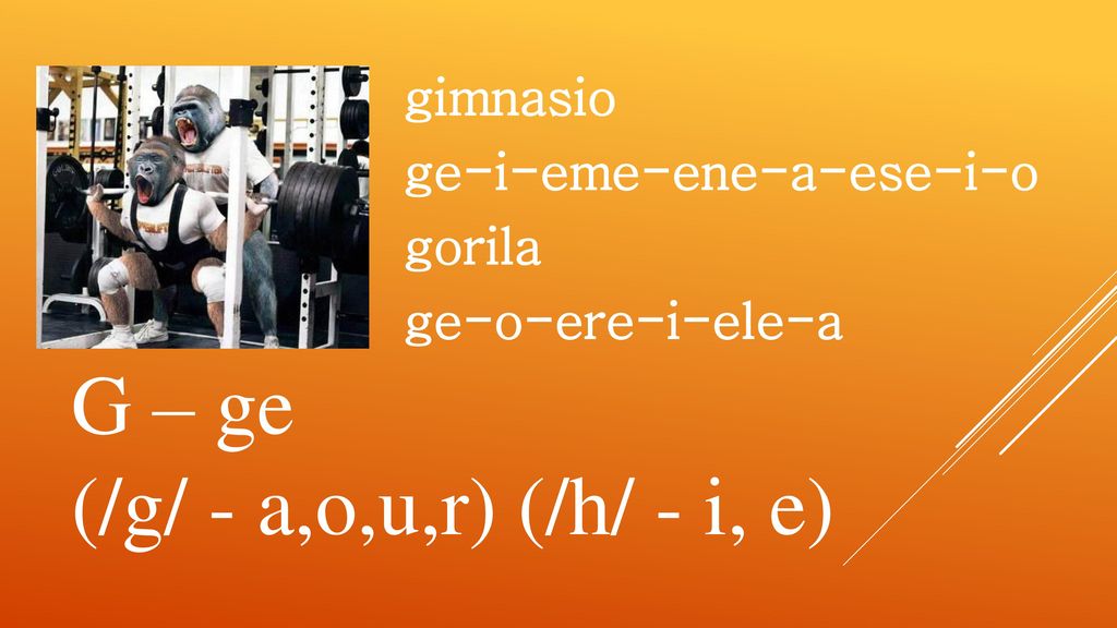 G – ge (/g/ - a,o,u,r) (/h/ - i, e)