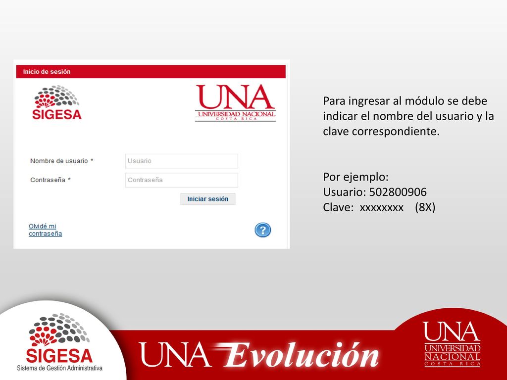 Para ingresar al módulo se debe indicar el nombre del usuario y la clave correspondiente.