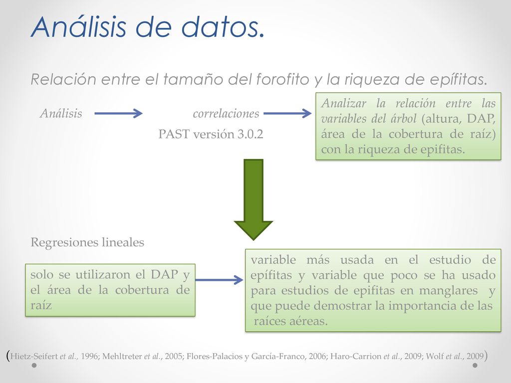 Análisis de datos. Relación entre el tamaño del forofito y la riqueza de epífitas.