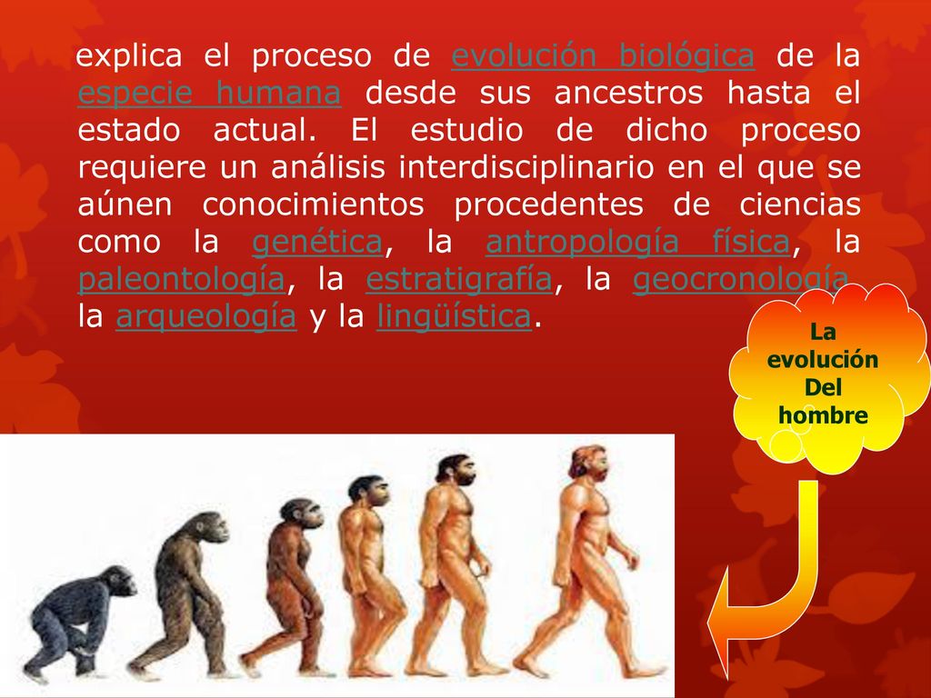 explica el proceso de evolución biológica de la especie humana desde sus ancestros hasta el estado actual. El estudio de dicho proceso requiere un análisis interdisciplinario en el que se aúnen conocimientos procedentes de ciencias como la genética, la antropología física, la paleontología, la estratigrafía, la geocronología, la arqueología y la lingüística.