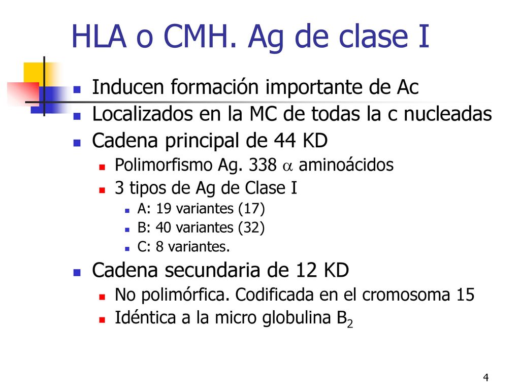 HLA o CMH. Ag de clase I Inducen formación importante de Ac