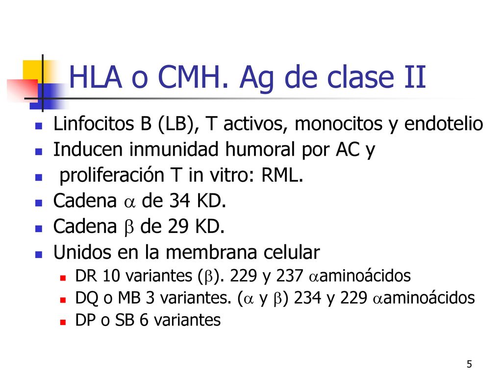 HLA o CMH. Ag de clase II Linfocitos B (LB), T activos, monocitos y endotelio. Inducen inmunidad humoral por AC y.