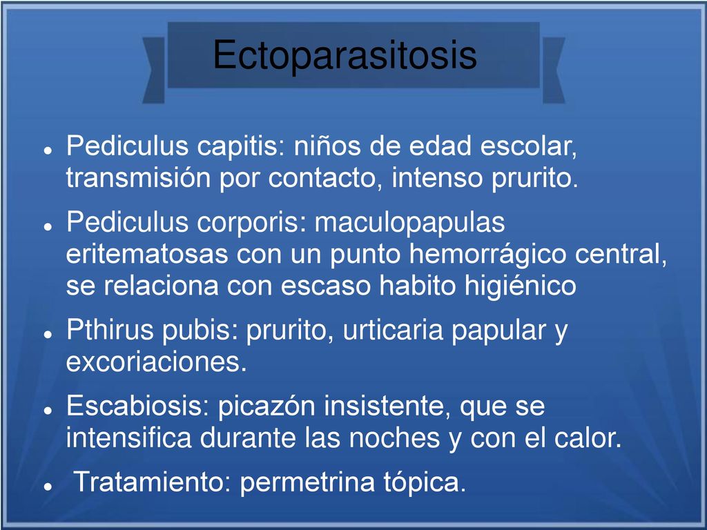 Ectoparasitosis Pediculus capitis: niños de edad escolar, transmisión por contacto, intenso prurito.