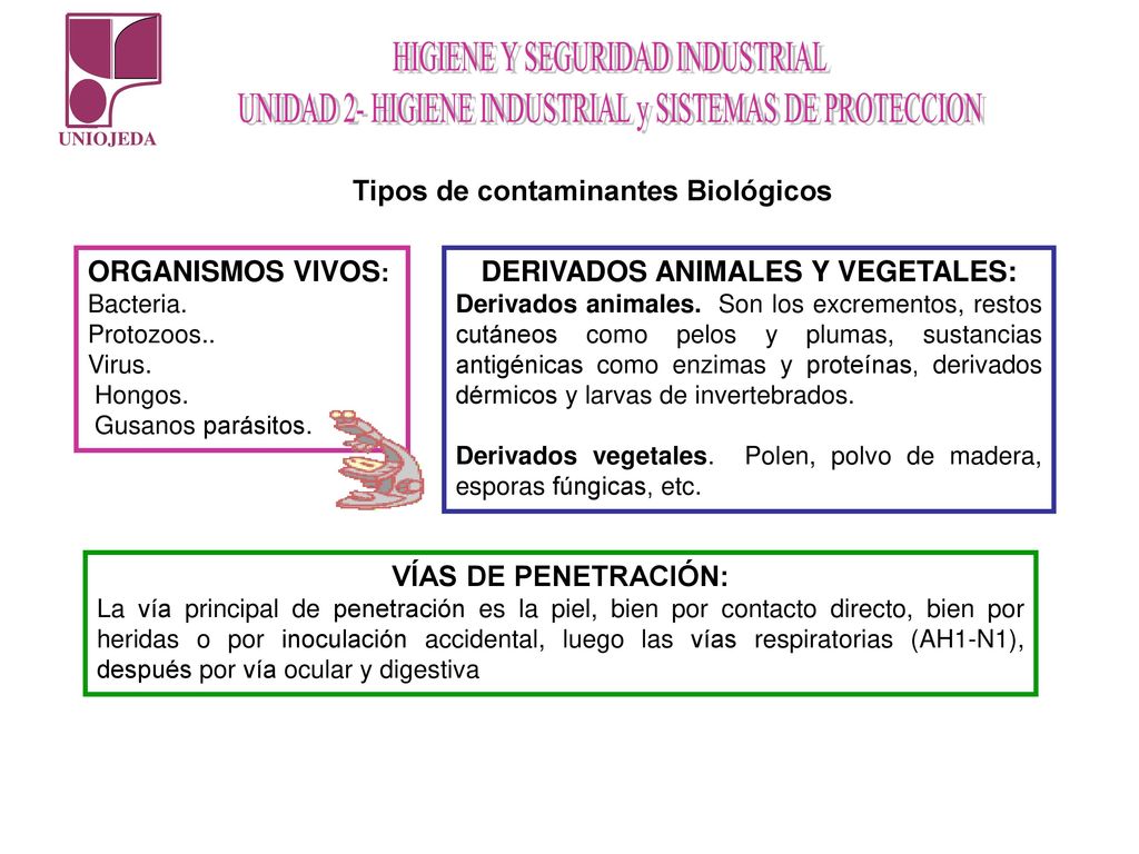 Tipos de contaminantes Biológicos DERIVADOS ANIMALES Y VEGETALES: