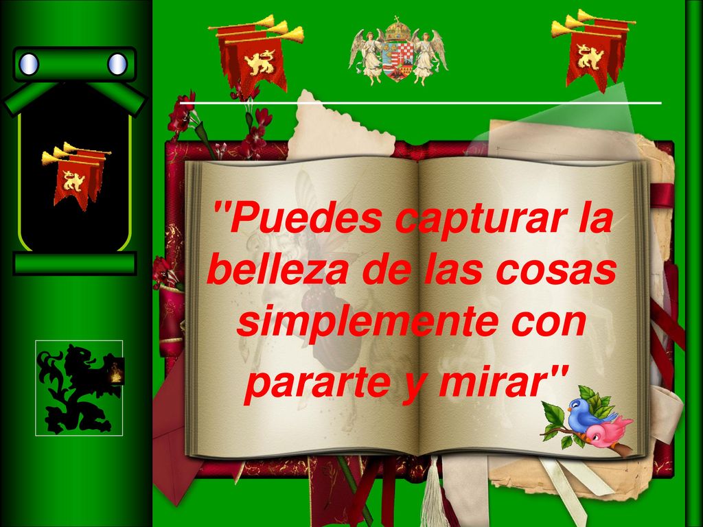 Puedes capturar la belleza de las cosas simplemente con pararte y mirar