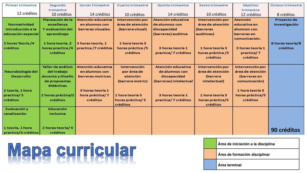 Mapa curricular 90 créditos 12 créditos 10 créditos 14 créditos