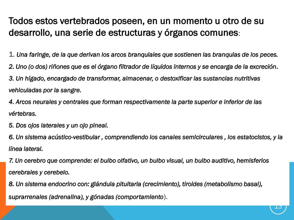 Todos estos vertebrados poseen, en un momento u otro de su desarrollo, una serie de estructuras y órganos comunes: