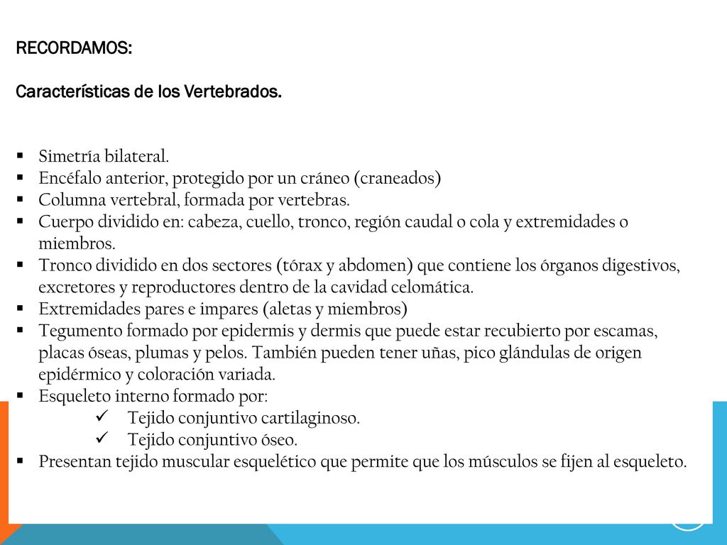 RECORDAMOS: Características de los Vertebrados. Simetría bilateral. Encéfalo anterior, protegido por un cráneo (craneados)