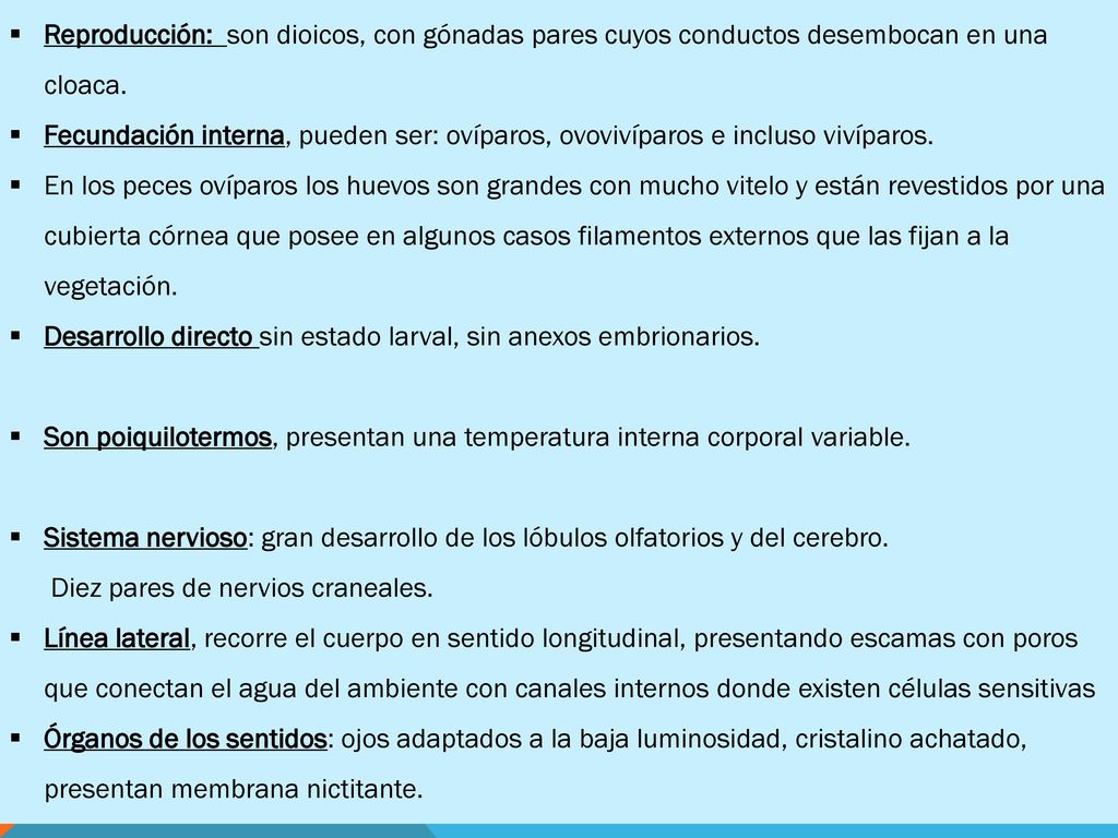 Reproducción: son dioicos, con gónadas pares cuyos conductos desembocan en una cloaca.