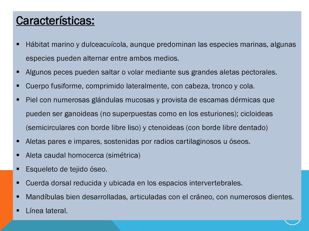 Características: Hábitat marino y dulceacuícola, aunque predominan las especies marinas, algunas especies pueden alternar entre ambos medios.