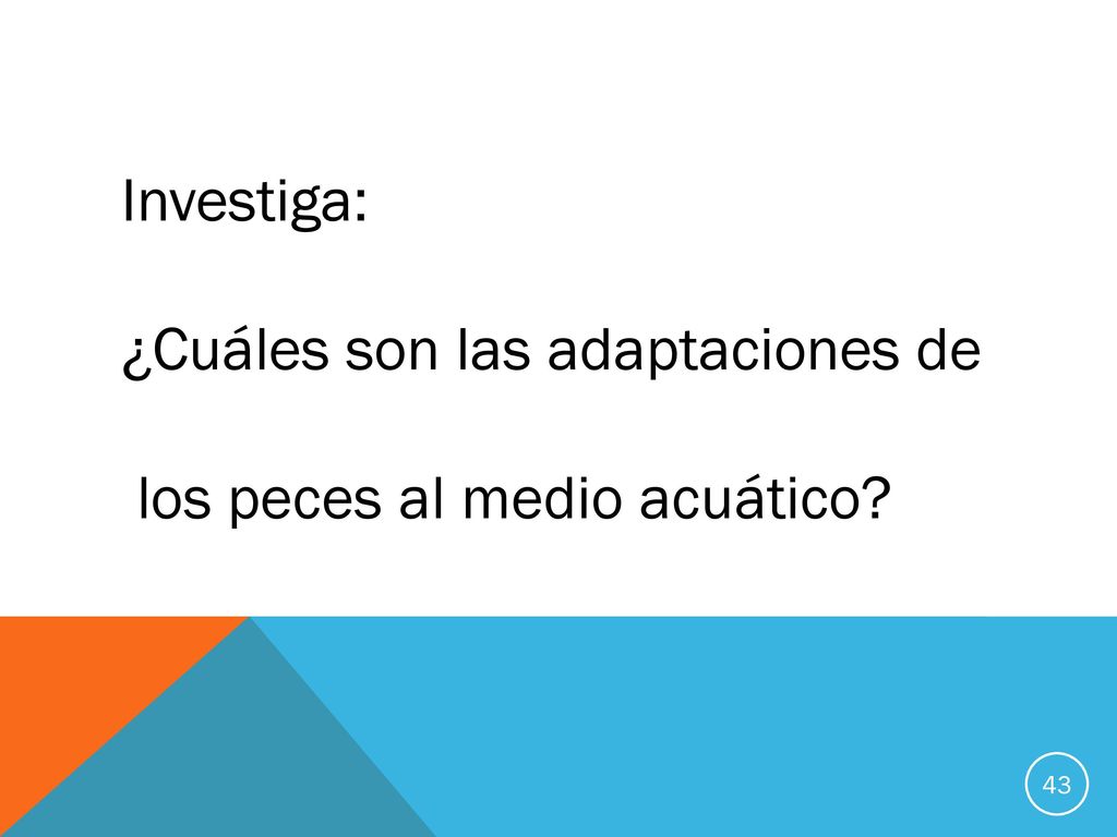 Investiga: ¿Cuáles son las adaptaciones de los peces al medio acuático