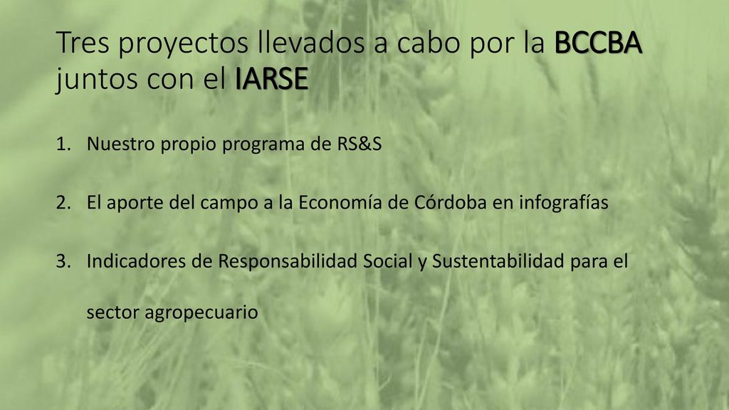 Tres proyectos llevados a cabo por la BCCBA juntos con el IARSE