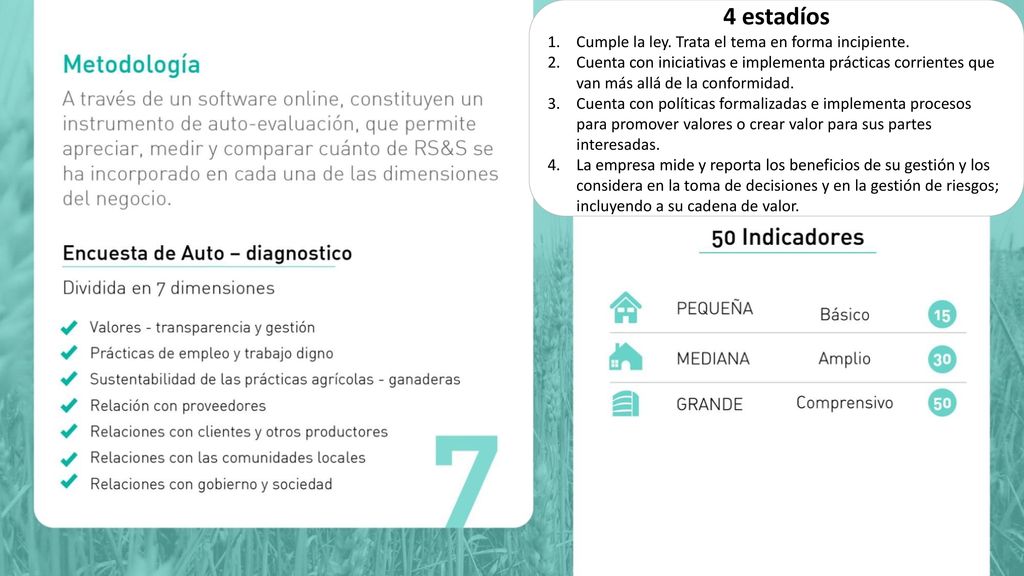 4 estadíos Cumple la ley. Trata el tema en forma incipiente.
