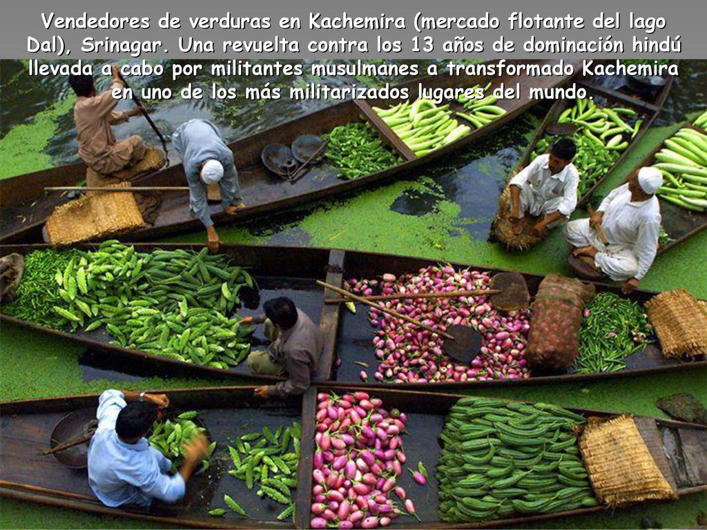 Vendedores de verduras en Kachemira (mercado flotante del lago Dal), Srinagar.
