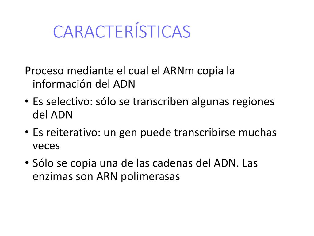 CARACTERÍSTICAS Proceso mediante el cual el ARNm copia la información del ADN. Es selectivo: sólo se transcriben algunas regiones del ADN.
