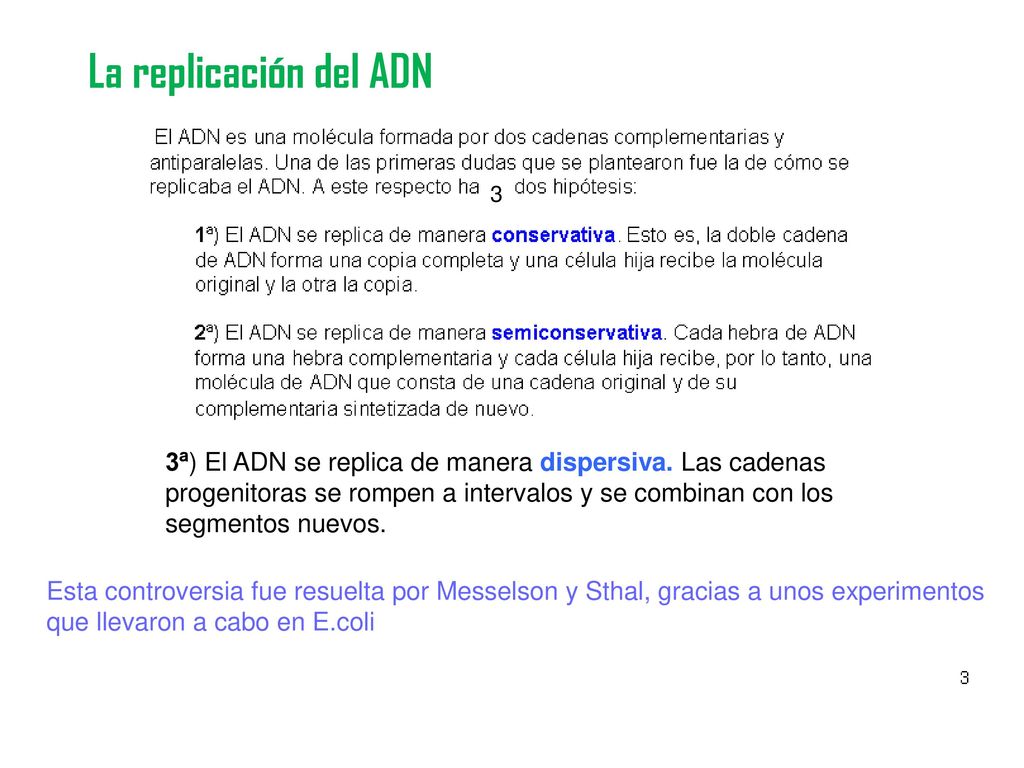 La replicación del ADN 3. 3ª) El ADN se replica de manera dispersiva. Las cadenas. progenitoras se rompen a intervalos y se combinan con los.
