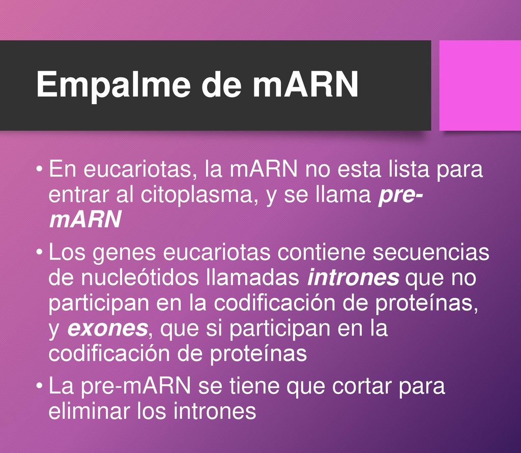 Empalme de mARN En eucariotas, la mARN no esta lista para entrar al citoplasma, y se llama pre- mARN.