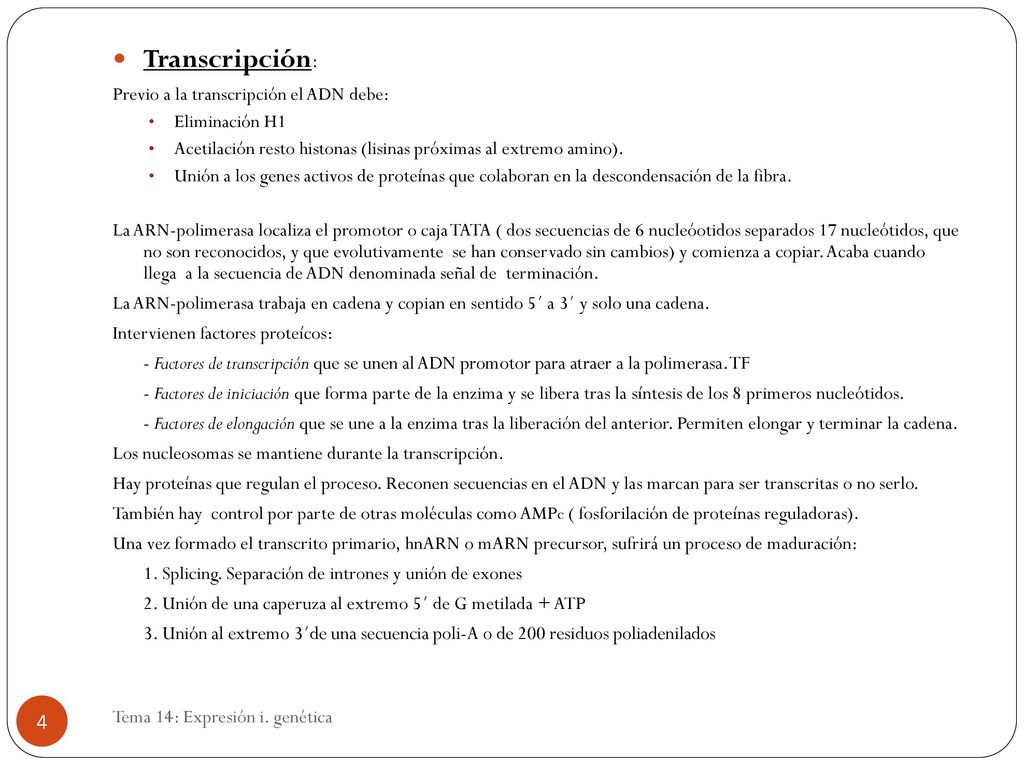 Transcripción: Previo a la transcripción el ADN debe: Eliminación H1