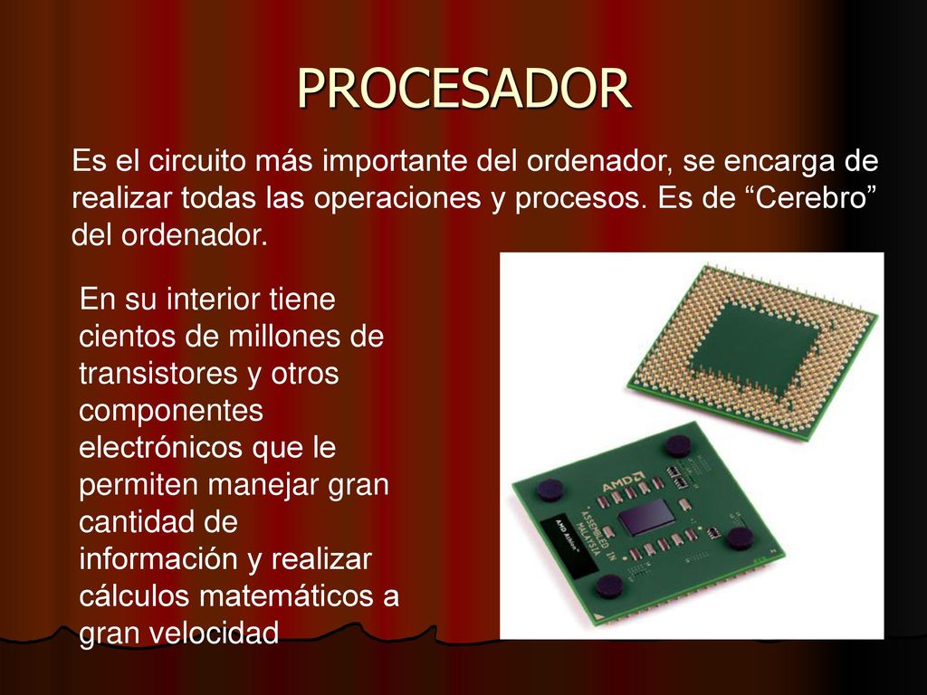 PROCESADOR Es el circuito más importante del ordenador, se encarga de realizar todas las operaciones y procesos. Es de Cerebro del ordenador.