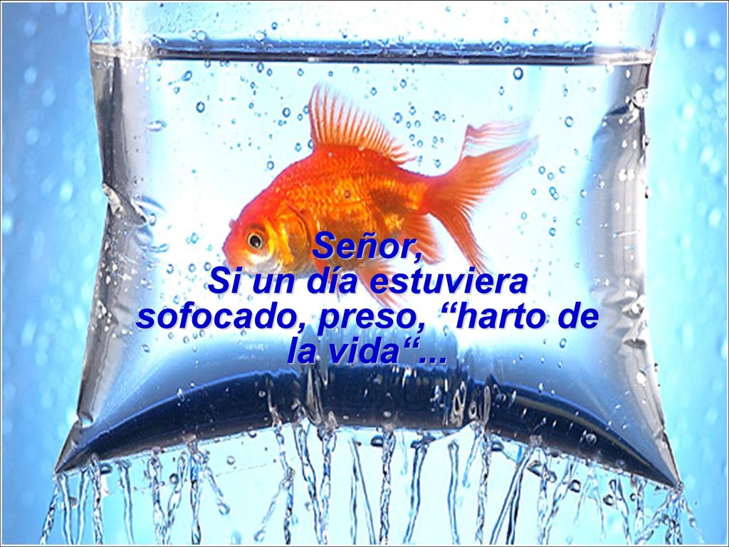Señor, Si un día estuviera sofocado, preso, harto de la vida ...