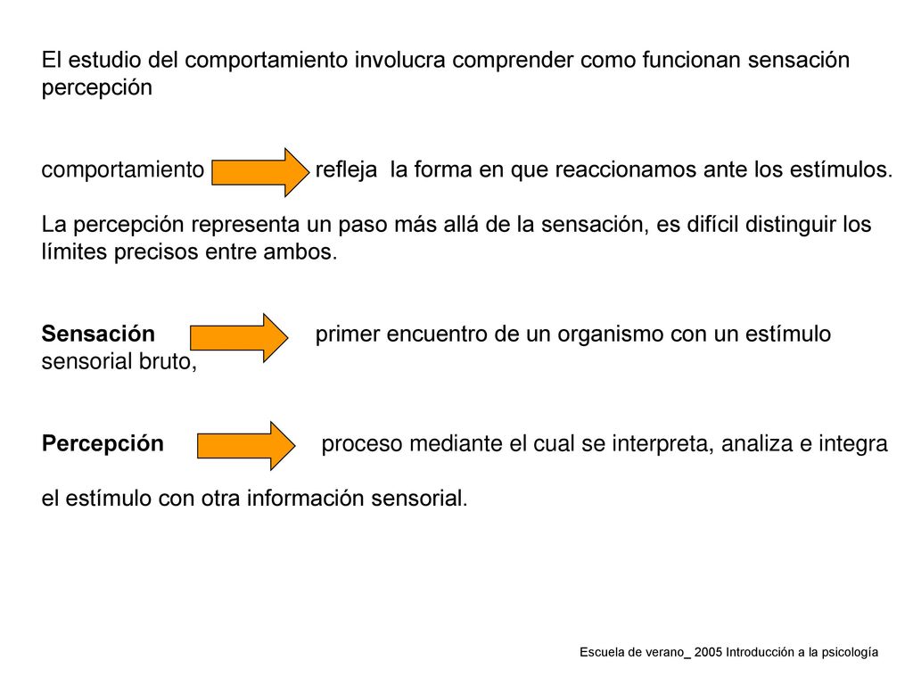 El estudio del comportamiento involucra comprender como funcionan sensación percepción