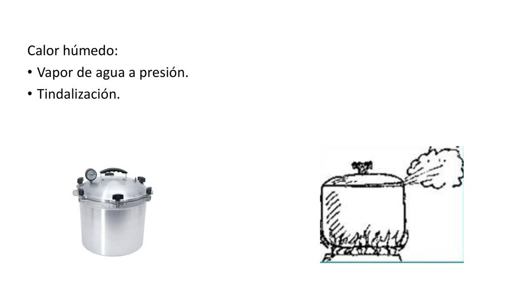 Calor húmedo: Vapor de agua a presión. Tindalización.