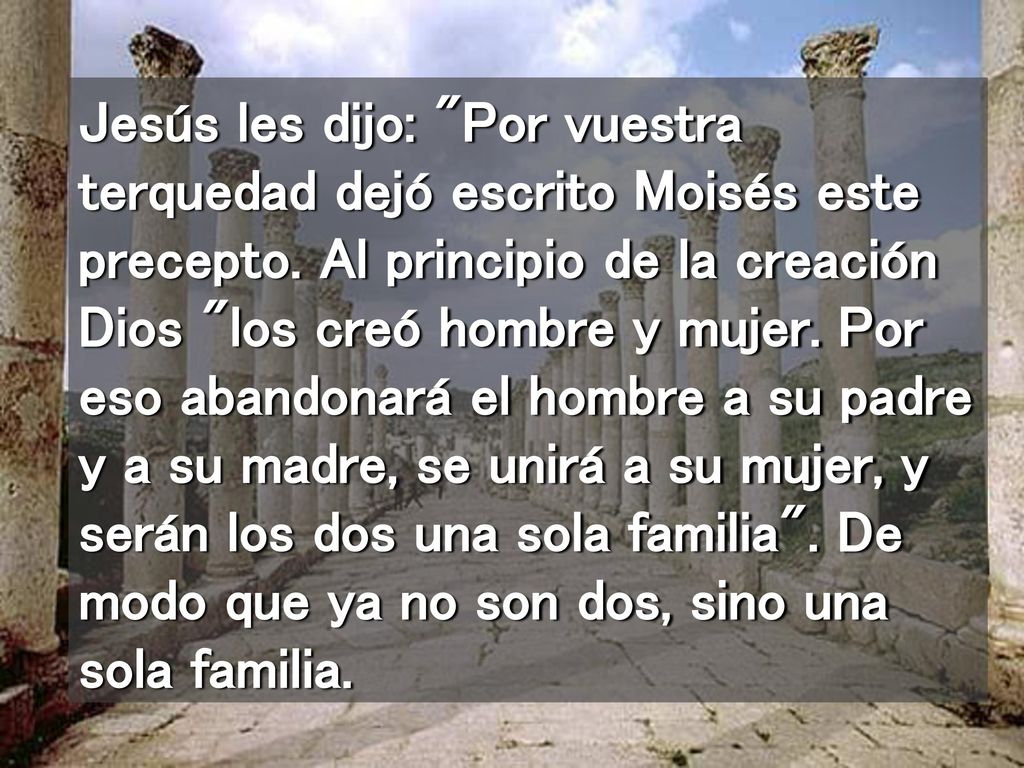 Jesús les dijo: Por vuestra terquedad dejó escrito Moisés este precepto.
