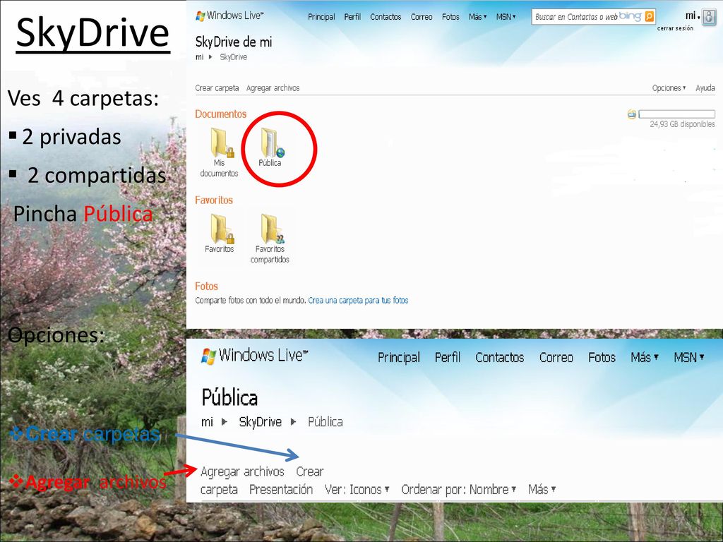 SkyDrive Ves 4 carpetas: 2 privadas 2 compartidas Pincha Pública