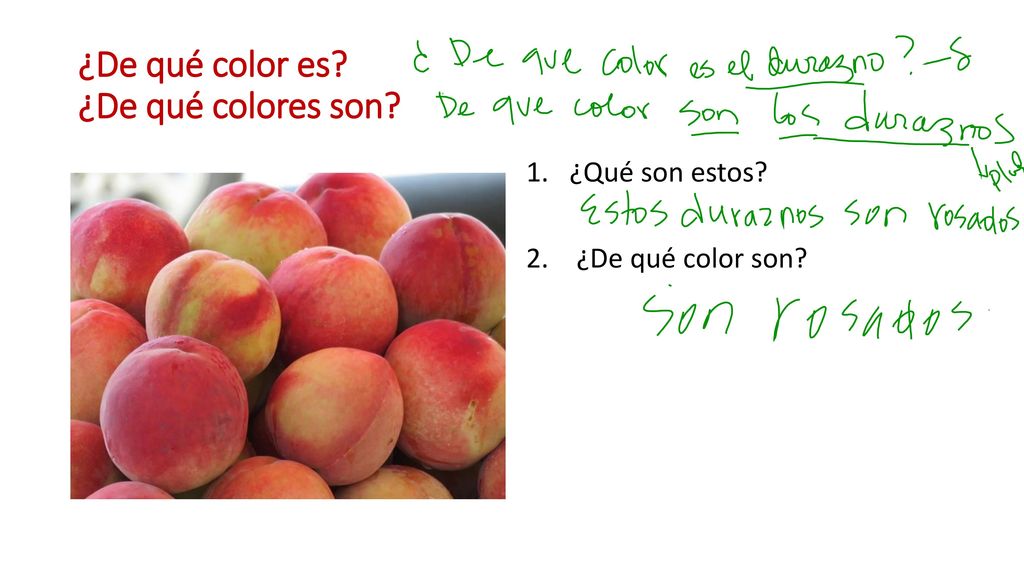 ¿De qué color es ¿De qué colores son