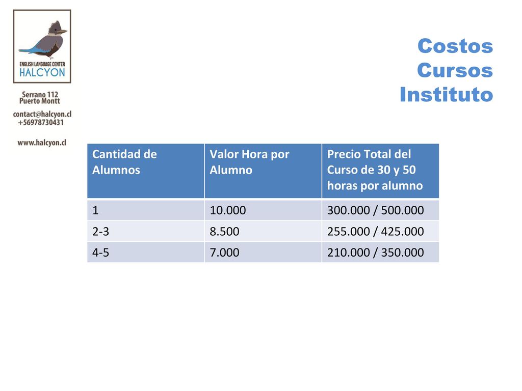 Costos Cursos Instituto Cantidad de Alumnos Valor Hora por Alumno
